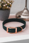 Preview: grünes Halsband aus Biothane